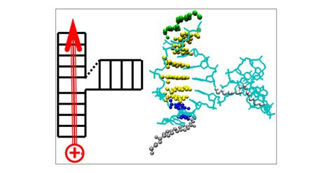 Conformationally Gated Charge Transfer In DNA Three Way Junctions The