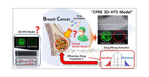 Cell Proliferation Receptor Enhanced 3d High Throughput Screening Model For Optimized Drug