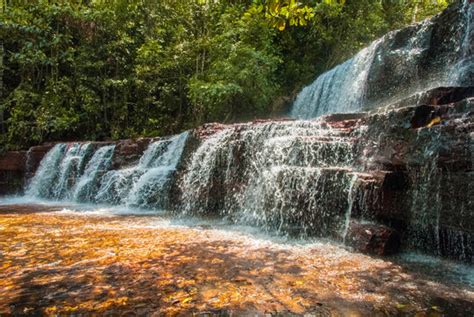 "La Gran Sabana" Images – Browse 1,541 Stock Photos, Vectors, and Video ...