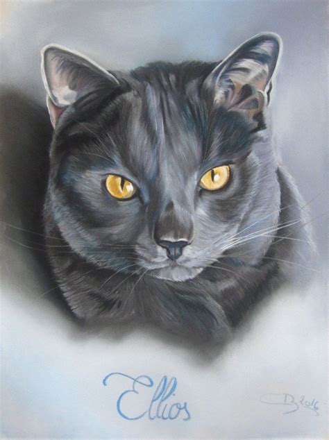 Image De Chat Dessin De Chat Au Pastel Sec