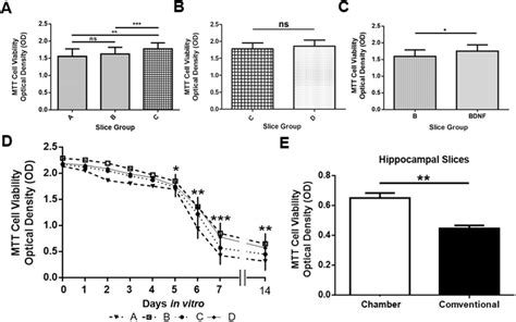 Cell Viability As Evaluated By The Mtt Assay Groups A Second Medium