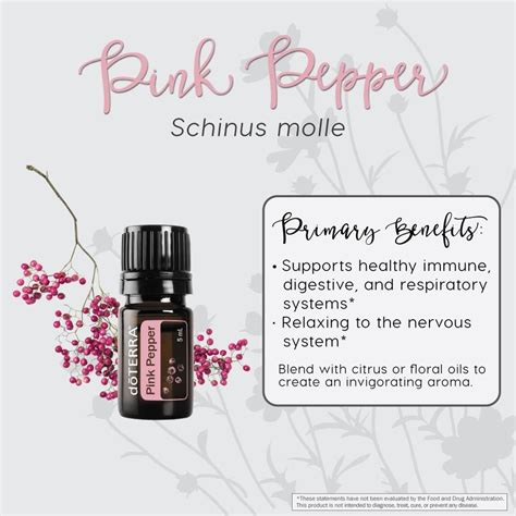 Discover The Delicate Aroma Of Pink Pepper Essential Oil