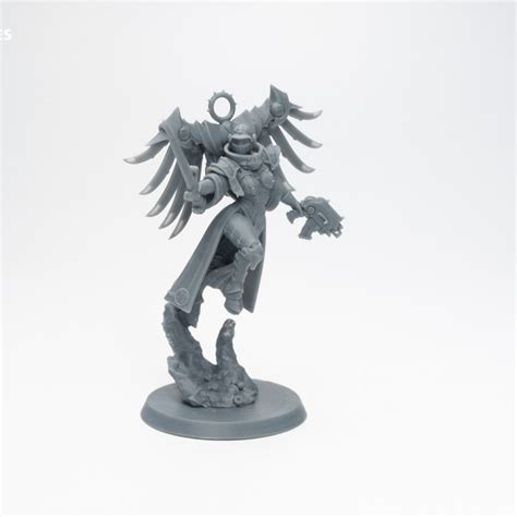 3d Printable Divine Order Valkyrie Bundle By Psminiatures