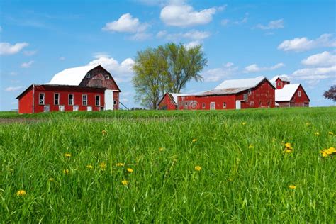 Farm In Open Grass Field Stock Image Image Of Country 146871307