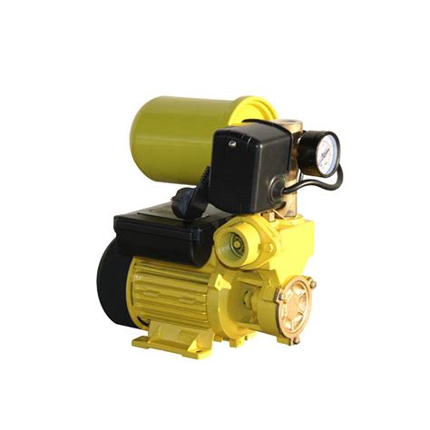 Купить Бытовая насосная станция Maxima WZ-250-2L (эмаль), цена 2527.80 ...