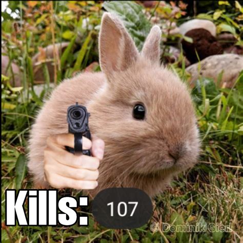 Killer Bunny