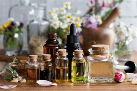 11 Diy Natural Lice Prevention Sprays Shampoos And More To Repel Lice