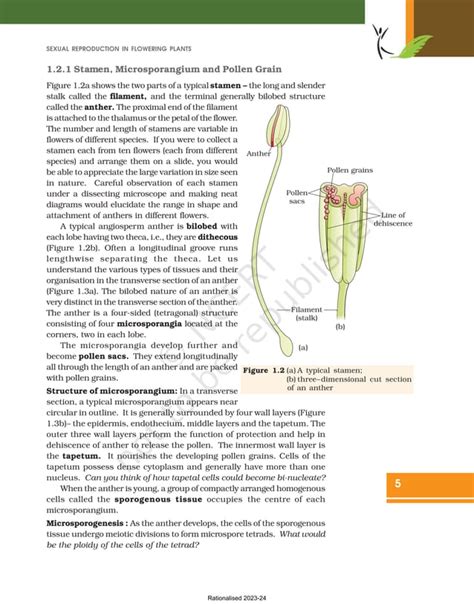 Ncert Sexual Reproduction In Flowering Plants Pdf