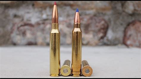 Difference Between A 300 Win Mag And A 300 Prc At Charlotte Mcgowan Blog