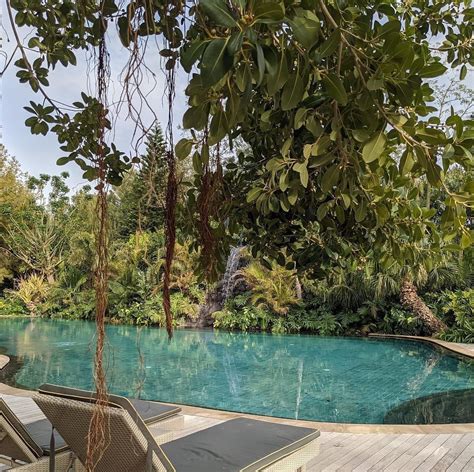 An Outdoor Swimming Pool Surrounded By Trees And Lounge Chairs With