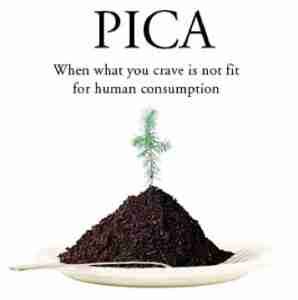 Pica Eating Disorder - Eating Disorders Treatment Center