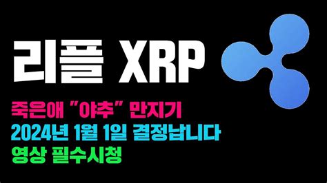 리플 Xrp 긴급 모든게 2024년 1월1일부터 결정납니다 코인시황 Youtube