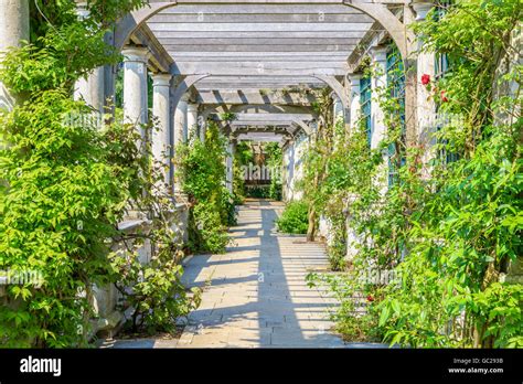 London Uk June Hampstead Pergola And Hill Garden In London