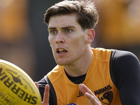 hawthorn hawks afl team news ladder fixtures results newscom