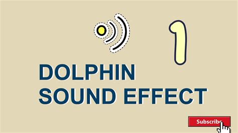 Dolphin Sound Effect Youtube