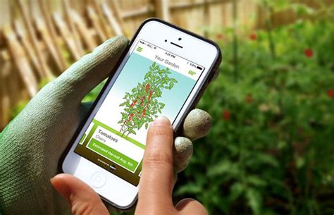 Here Are Must Have Gardening Apps Infographic Techgeek