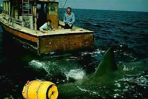 jaws jaws photo  fanpop