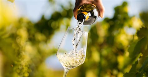 A Visual Guide To Aged White Wines Vinepair