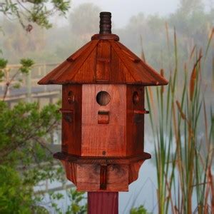 21 Photos of the Sophisticated Look of Finch Bird Houses