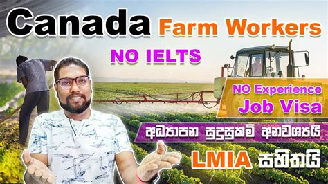 Canada Farm Worker 2022 Agriculture Jobs In CANADA NO IELTS Needed