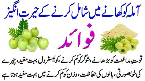 Amazing Health Benefits Of Amla Amla Khane Ke Fawaid In Urdu Health