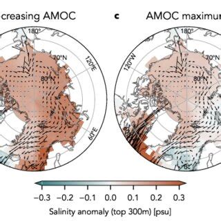 Composites Of Salinity Anomalies For Four AMOC Phases In The Top 300m