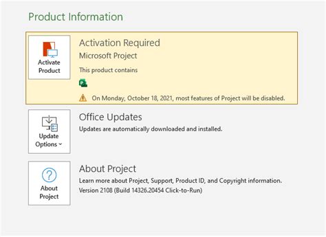 Download Project Professional 2021 from Microsoft 2024