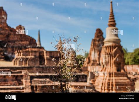 Ayutthaya Historical Park Architecture Hi Res Stock Photography And