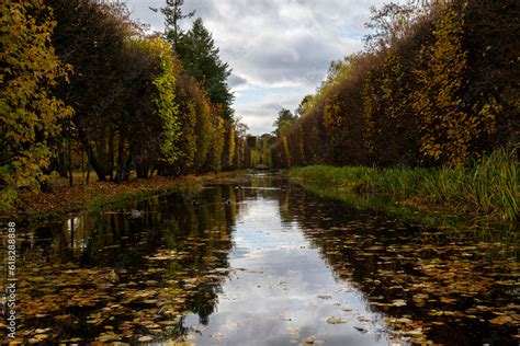 Autumn Leaves Float On The Surface Of The Water Fallen Autumnal Leaves