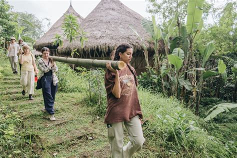 The Ultimate Guide to Sustainable Bamboo Harvesting: Tips and Best ...