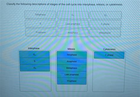 Solved Classify The Following Descriptions Of Stages Of The Chegg