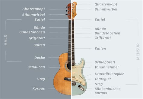 Opaque Pâturer inversement e gitarre steckbrief la monarchie Saison