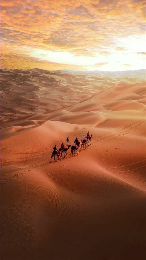 Graphy Caravan Camel Desert HD Wallpaper Peakpx