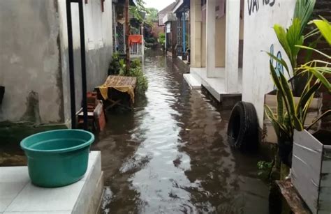 Belasan Rumah Di Mojokerto Bertahun Tahun Jadi Langganan Banjir Radar