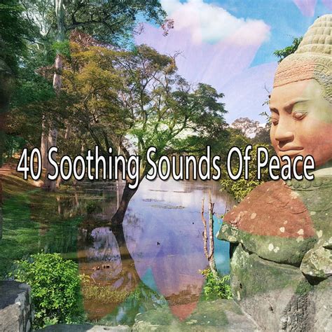 40 Soothing Sounds Of Peace Album By Zen Music Garden Spotify