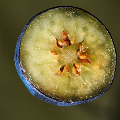 Blueberry Blueberries Are Green On The Inside For The Ma Flickr