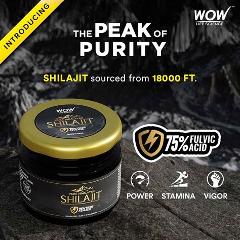 Pure Himalayan Shilajit At Best Price In India