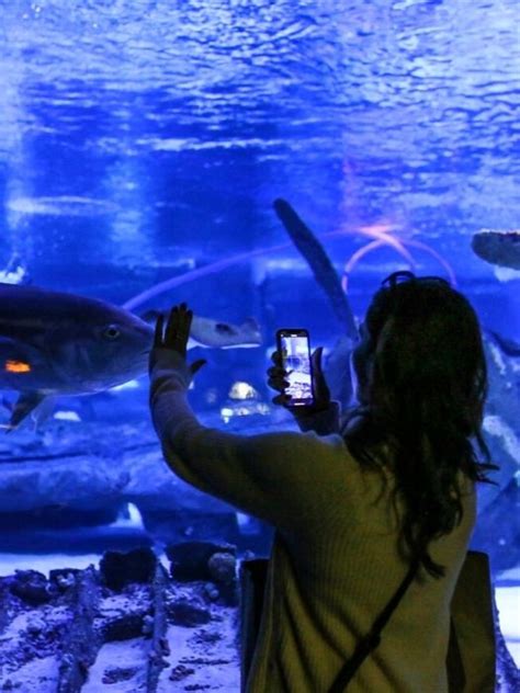 Antalya Aquarium Tickets Info Price Updated December