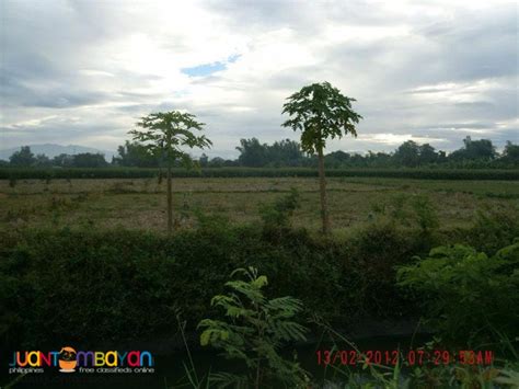 Farm In Pangasinan