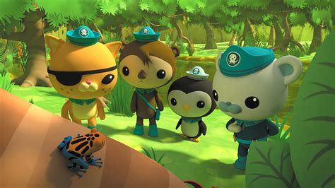 Octonauts Series 4 1 Octonauts And The Poison Dart Frogs BBC IPlayer