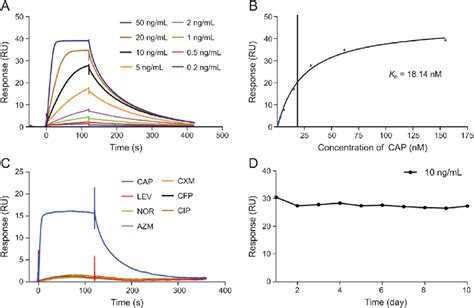 Characterization Of The Surface Plasmon Resonance Spr Sensor Chip Download Scientific