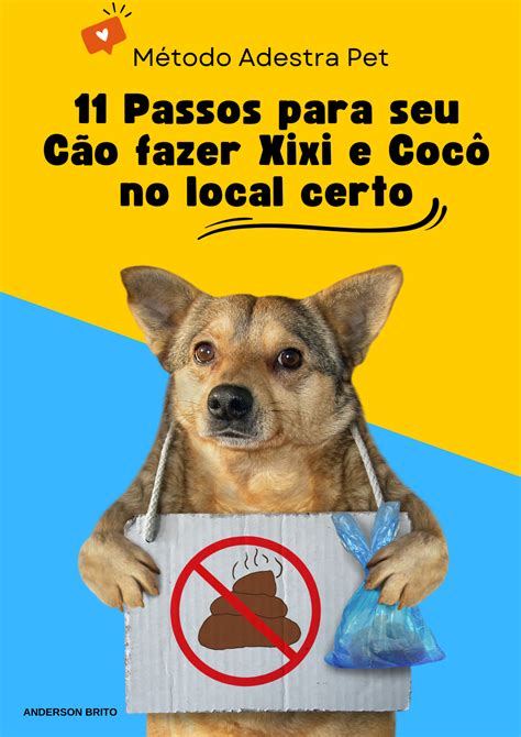 Guia De Passos Para Seu C O Fazer Xixi E Coc No Local Certo R