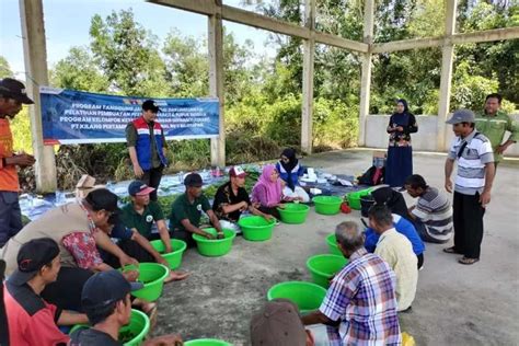 Pertamina Unit Balikpapan Gelar Pelatihan Pembuatan Pestisida Nabati