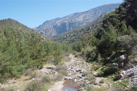 Tripadvisor Wandeling Door De Agia Irini Kloof Priv Tour Van Een Hele