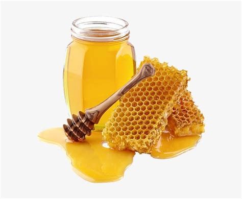 Kashmiri Acacia Honey At Rs Kg Acacia Honey In Mumbai Id