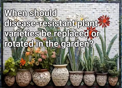 When Should Disease Resistant Plant Varieties Be Replaced Or Rotated In The Garden Gardening