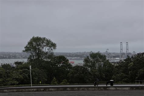 View From Auckland Domain Matthew Petroff Flickr