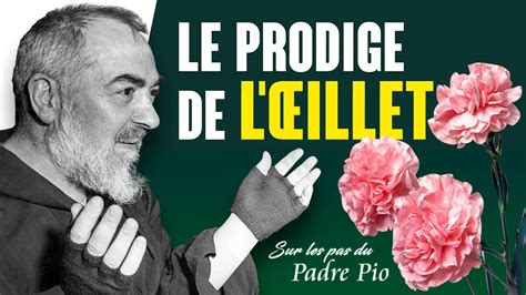 Pas dupe le Padre Pio a répondu Savez vous que les roses ont des