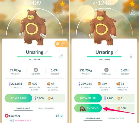 Pokemon Go How To Evolve Ursaring Into Ursaluna Superparent