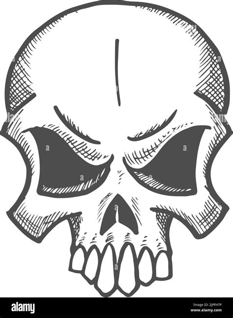 Angry Skull With Sharp Teeth Isolated Dead Person Head Sketch Vector Monochrome Skeleton Face